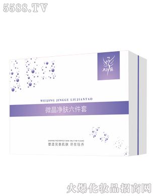 �V��╆�����Ƽ����޹�˾��΢�����w������