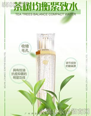 �V������������Ƽ����޹�˾���C��ѩ�w������o��ˮ