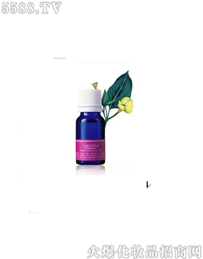 �˾�����Ʒ���޹�˾��������������