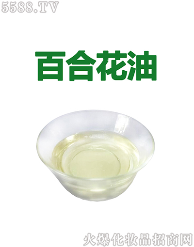 �V�ݰ��������Ƽ����޹�˾������ݰٺϻ�����