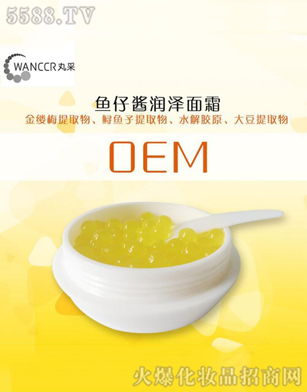 �V���������Ƽ����޹�˾���~���u������˪