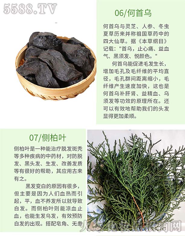 Ȫ���ֿ��t(y��)ˎ���޹�˾���l(f��)ѾѾ�ݱ�ֲ�����ϴ�l(f��)�飨���מ�����(c��)���~��