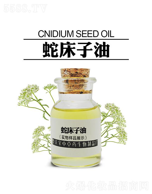 �������A�쌚�в�ˎ������Ʒ�S���A�쌚�ߴ�����