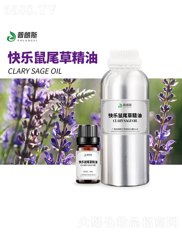 �V������˹����Ƽ����޹�˾������˹�옷��β�ݾ���