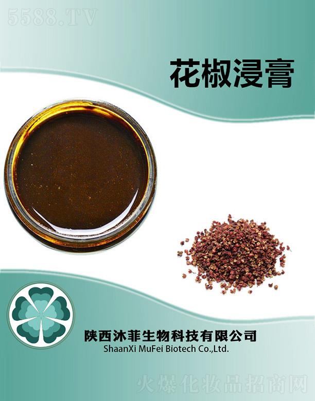 ����������Ƽ����޹�˾����ƻ�������