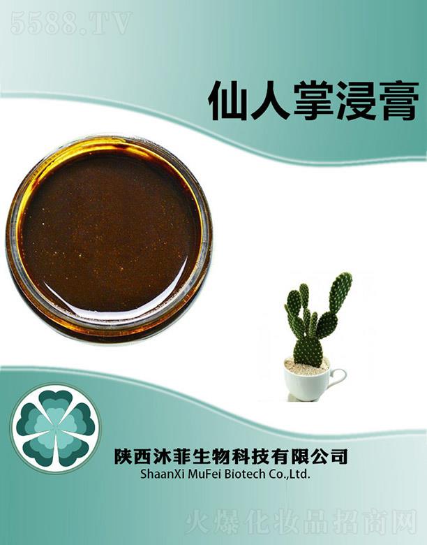 ����������Ƽ����޹�˾����������ƽ���