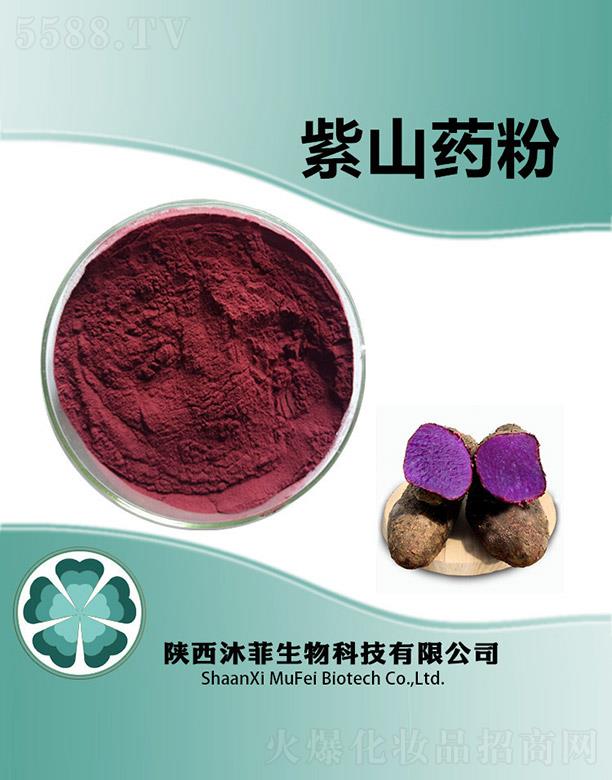 ����������Ƽ����޹�˾�������ɽˎ��