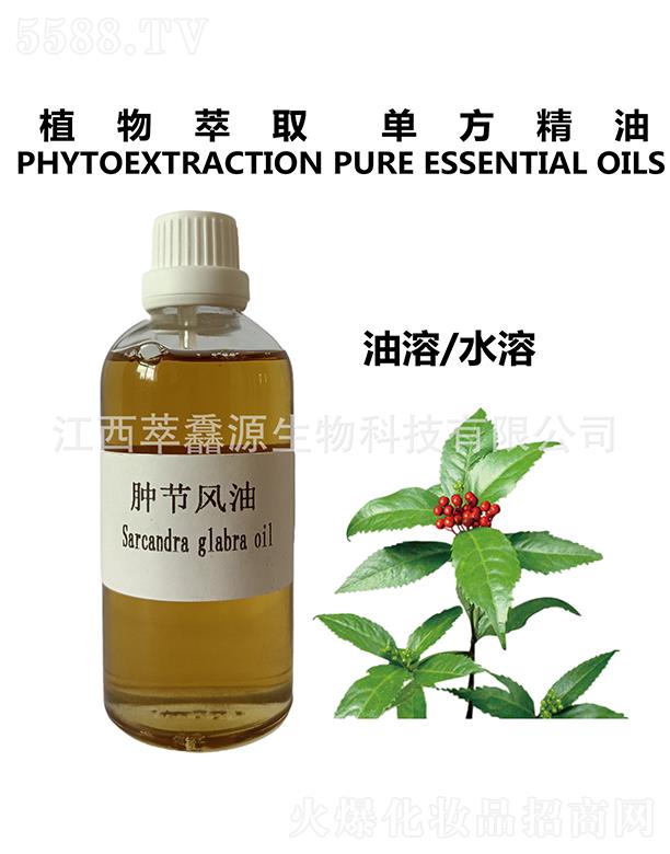 �������QԴ����Ƽ����޹�˾�����QԴ�[��(ji��)�L(f��ng)��