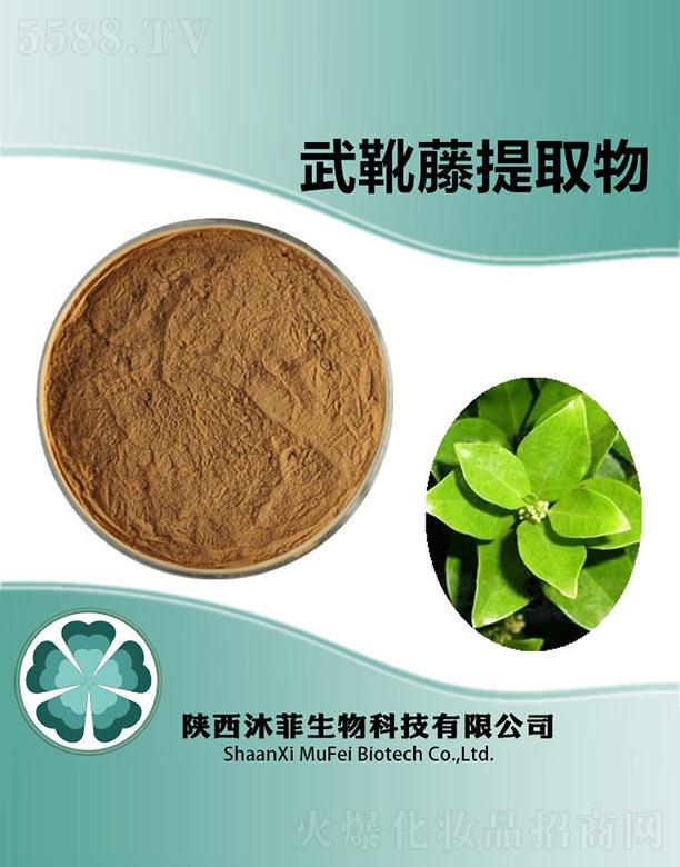 ����������Ƽ����޹�˾�������ѥ����ȡ��