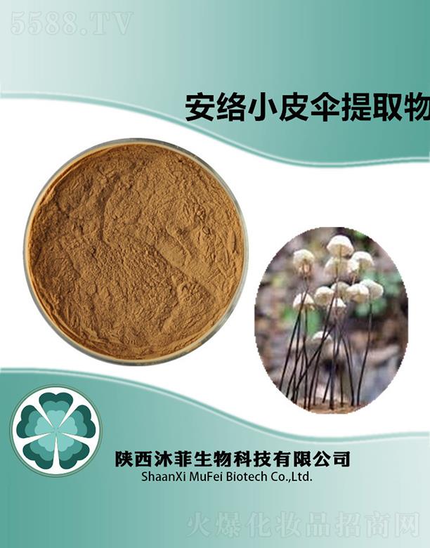 ����������Ƽ����޹�˾����ư��j(lu��)СƤ����ȡ��