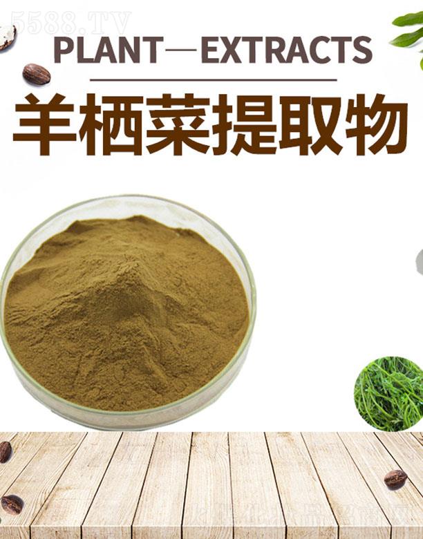 ����ĺ�����Ƽ����޹�˾���ĺ��򗫲���ȡ��