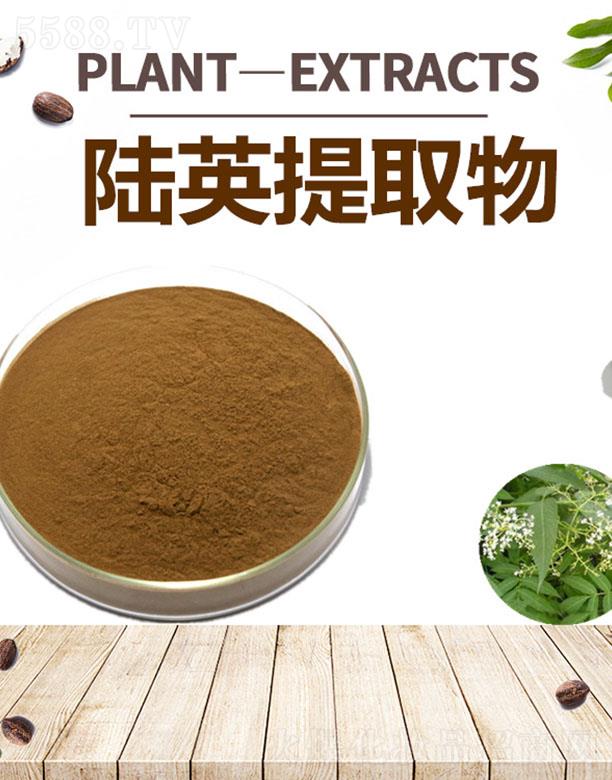 ����ĺ�����Ƽ����޹�˾���ĺ��Ӣ��ȡ��