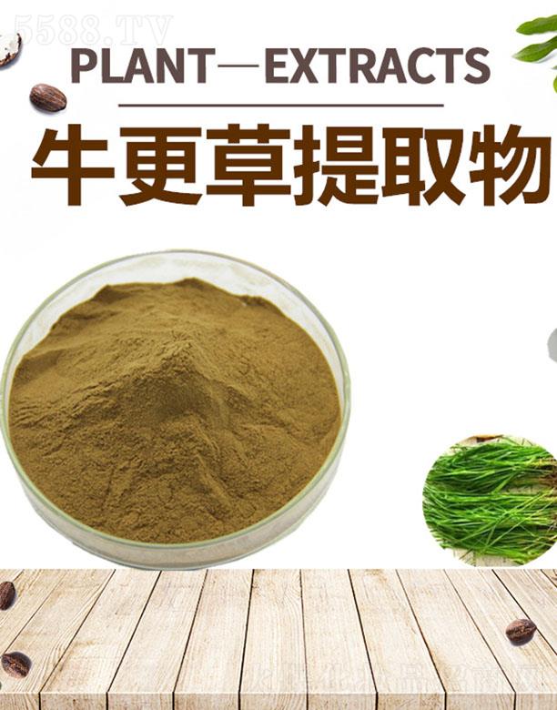 ����ĺ�����Ƽ����޹�˾���ĺ�ţ������ȡ��