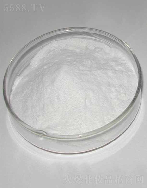 �ɶ������������޹�˾������-9/������/������