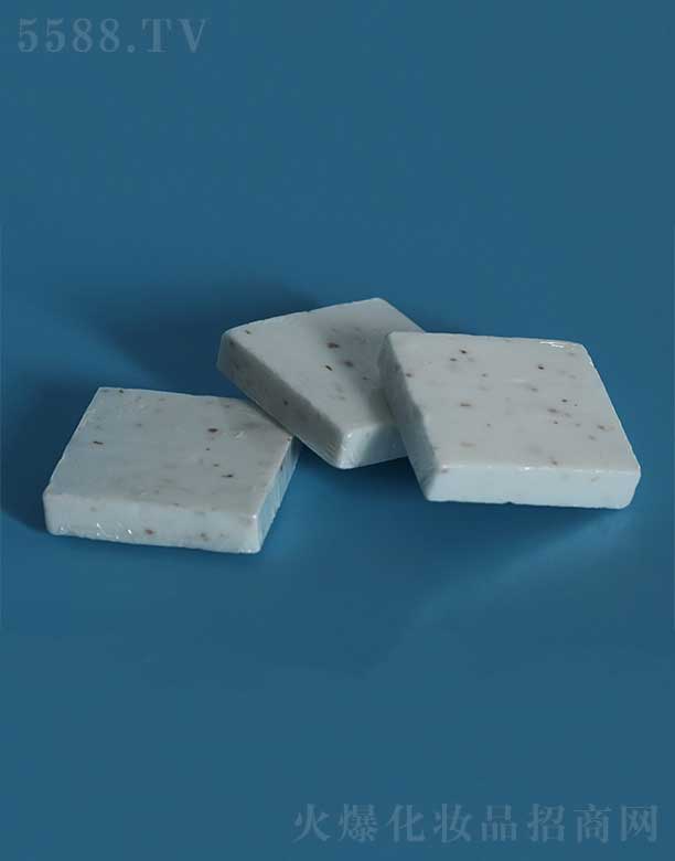 �P�ݻ��i�ջ���Ʒ���޹�˾��������TMH-009