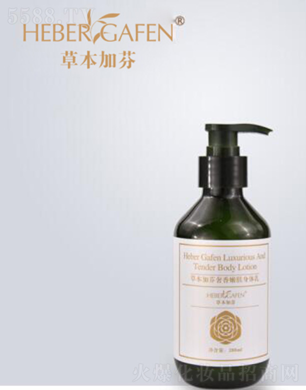 �ݱ��ӷ�����Ƽ����޹�˾���ݱ��ӷ��������w���w��