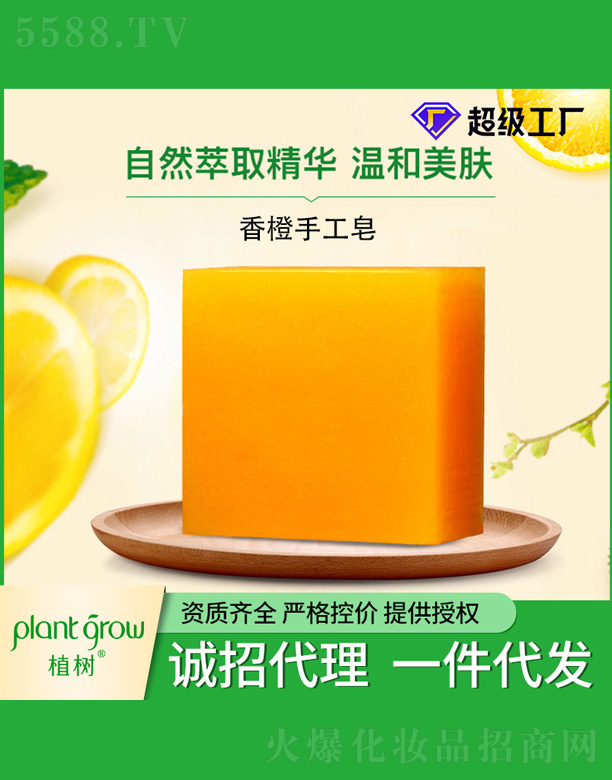 �V�|�������Ƽ����޹�˾��ֲ��(sh��)����ֹ���