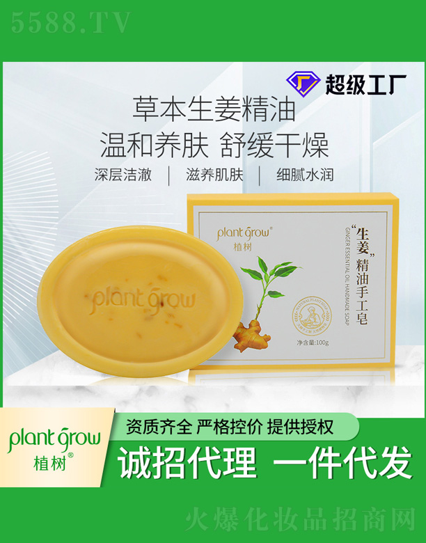 �V�|�������Ƽ����޹�˾��ֲ��(sh��)���������ֹ���