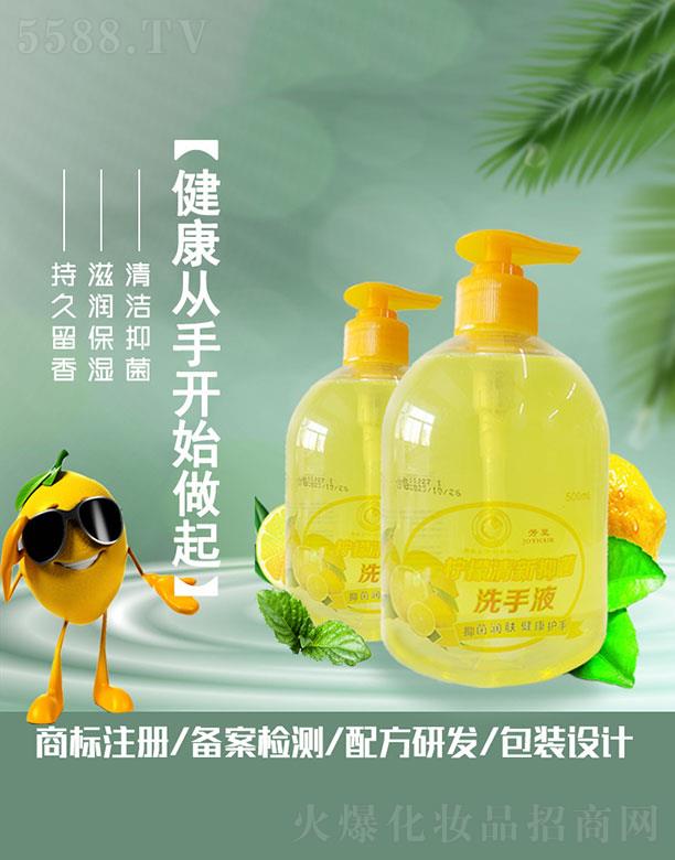 �V�ݰ����y˼���yƷ���޹�˾���������������־�ϴ��Һ 500ml