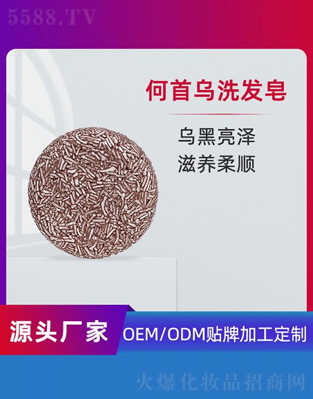 �V�ݵ�������Ƽ����޹�˾�����מ�ϴ�l(f��)��OEM