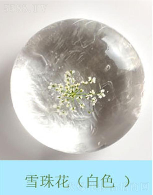 �V���к����m����Ƽ����޹�˾���������r����ѩ�黨-��ɫ