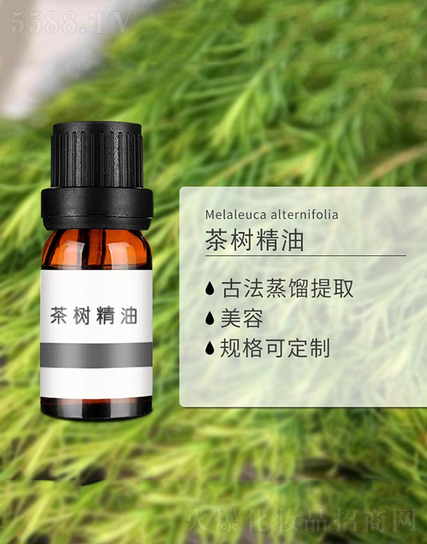 ����ɭ����Ƽ�(���u)���޹�˾����侫��