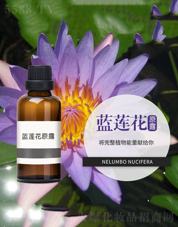 ����ɭ����Ƽ�(���u)���޹�˾���{ɏ��ԭ¶