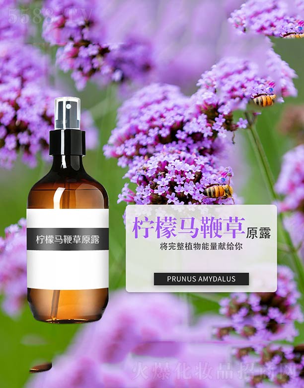 ����ɭ����Ƽ�(���u)���޹�˾�������R�޲�ԭ¶