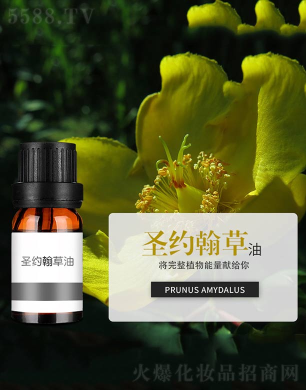 ����ɭ����Ƽ�(���u)���޹�˾��ʥ�s������