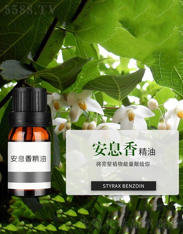 ����ɭ����Ƽ�(���u)���޹�˾����Ϣ�㾫��