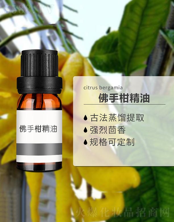 ����ɭ����Ƽ�(���u)���޹�˾�����ָ̾���