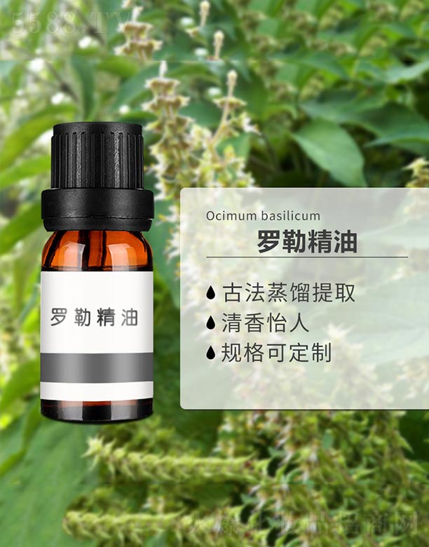 ����ɭ����Ƽ�(���u)���޹�˾���_�վ���