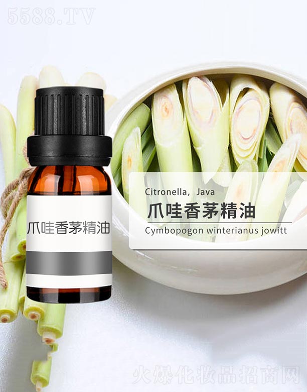 ����ɭ����Ƽ�(���u)���޹�˾��צ����é����