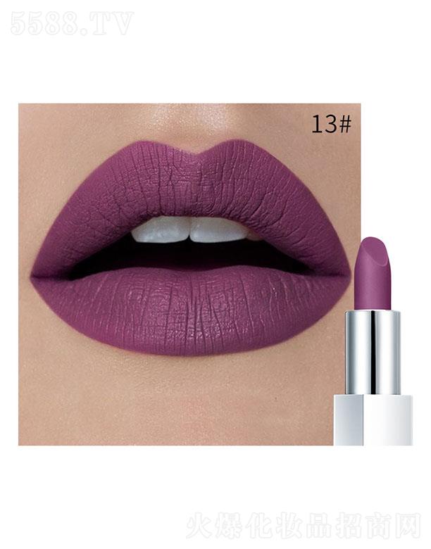 ���ڐ�ӯ�Q(m��o)�����޹�˾��Pudaier�貽z�q�ڼt13#