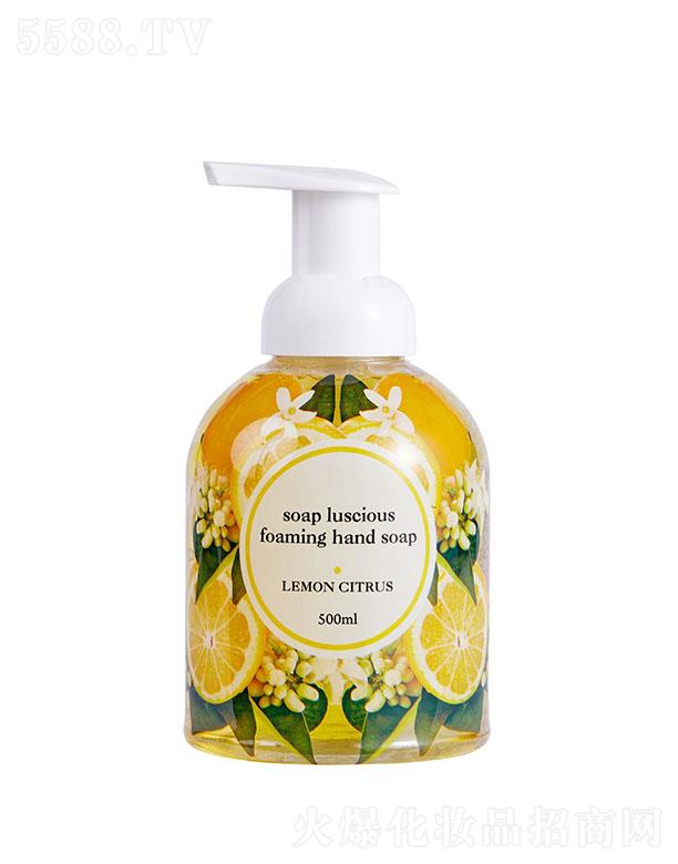 ���ŵ�(�B�T)���＼�g(sh��)���޹�˾�����ŵ�(    ���ŵ�ϴ��Һ   �坍�o�w