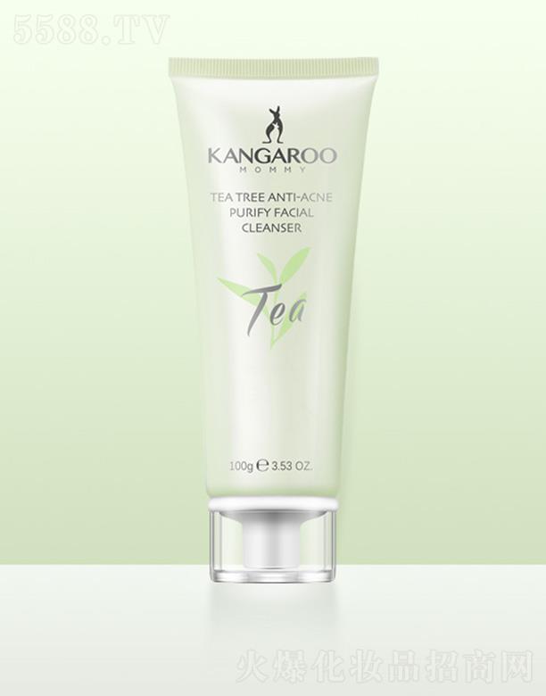 �V�ݐ������Ƽ����޹�˾�����󋌋�������嶻������ 100g�غ͝�����Ȼ���m��ĭ�׼�(x��)