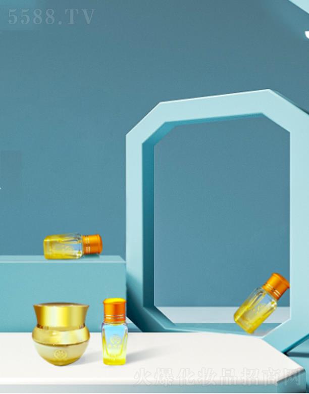 �V���ό������S������Ƽ����޹�˾���ې����n����w��  �o�¼��w