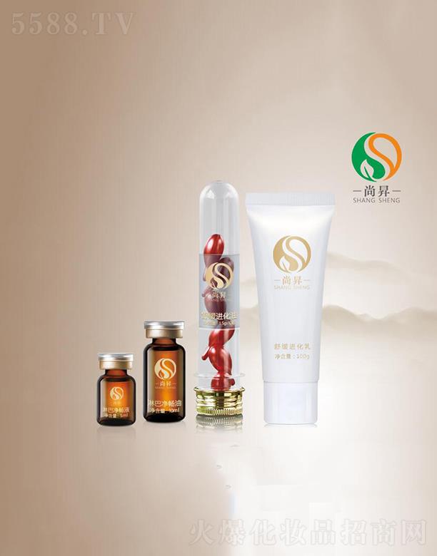 �V�����ЕN����Ƽ����޹�˾���ЕN�弡��  ���MƤ�w��ꐴ��x