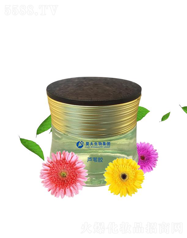 ɽ�|��(f��)������Ƽ����޹�˾����(f��)�����Ｏ�F(tu��n)�J�C�z���ӹ�