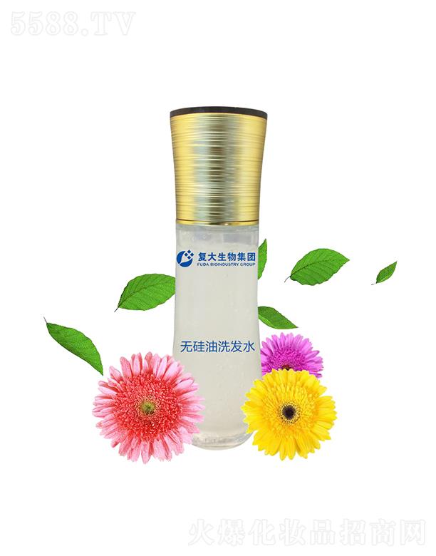 ɽ�|��(f��)������Ƽ����޹�˾����(f��)�����Ｏ�F(tu��n)�o����ϴ�l(f��)ˮ���ӹ�