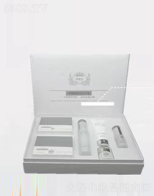 �V���л���ɏ�����������޹�˾���V���л���ɏ �������