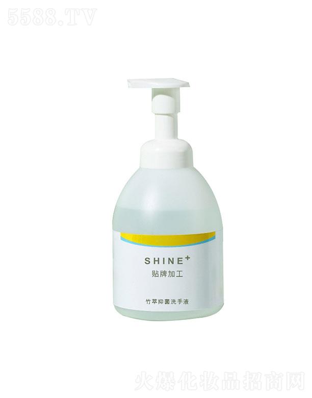 �V�|�����������＼�g(sh��)���޹�˾���V�|��������   �������������־�ϴ��Һ   �غͲ�����