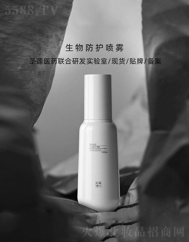 �V��ʥɏ�t(y��)ˎ�Ƽ����޹�˾���V��ʥɏ   ʥɏ������o���F  �����ϻ�   �����ɻ�