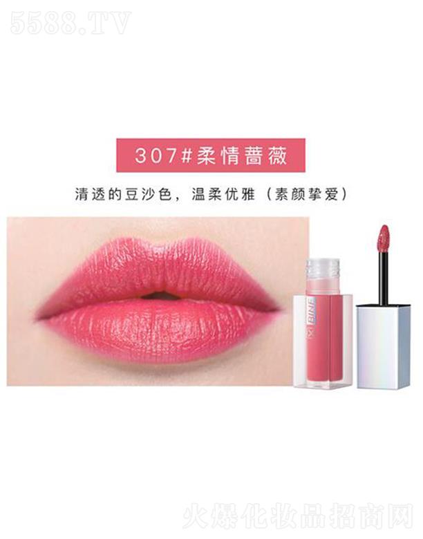 �V���������r���̘I(y��)�ɷ����޹�˾��������ݼ���۴���307#�����Nޱ