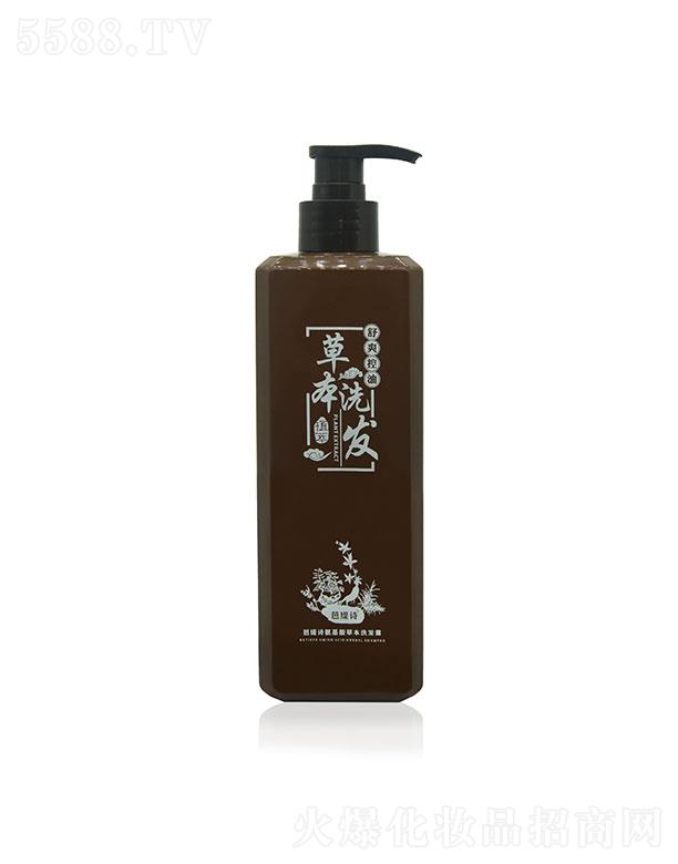 �V�ݽ�ʥ�I(y��)����Ƽ����޹�˾���ž�Ԋ�ݱ�ϴ�l(f��)ˮ500ml