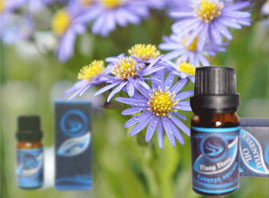 �Ϻ��ض����H�Q(m��o)�����޹�˾