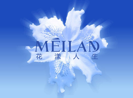 �Ϻ����m���yƷ���޹�˾