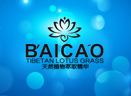 �����Ԫ���Q(m��o)���޹�˾