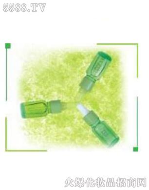 ƽ֬�����