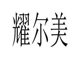 ����ҫ��������Ƽ����޹�˾